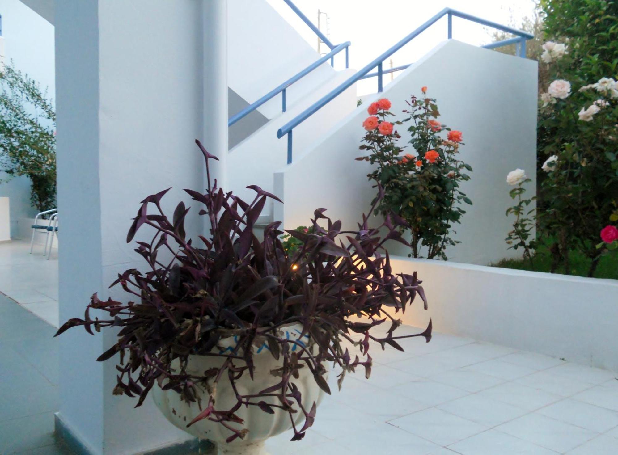 Dimitra Apartment Hotel スカフィディア エクステリア 写真